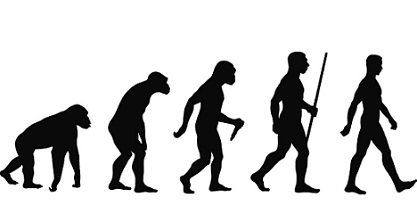 Tipos de evolución